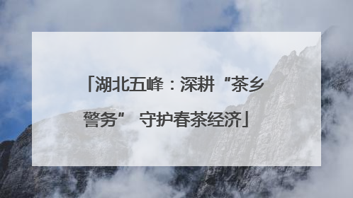 湖北五峰：深耕“茶乡警务” 守护春茶经济
