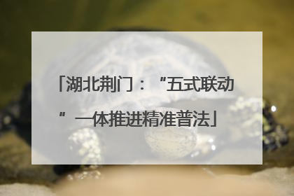 湖北荆门：“五式联动”一体推进精准普法