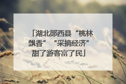 湖北郧西县“桃林飘香”“采摘经济”甜了游客富了民