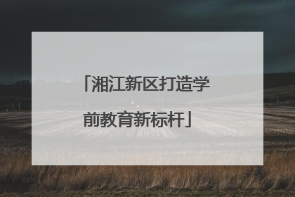 湘江新区打造学前教育新标杆
