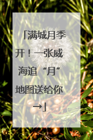 满城月季开！一张威海追“月”地图送给你→