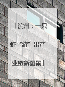 滨州：一只虾“游”出产业链新图景