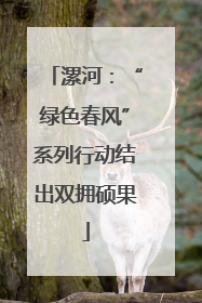 漯河：“绿色春风”系列行动结出双拥硕果