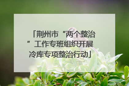 荆州市“两个整治”工作专班组织开展冷库专项整治行动