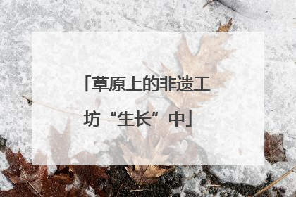 草原上的非遗工坊“生长”中