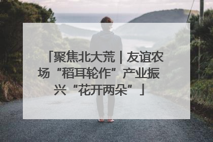 聚焦北大荒｜友谊农场“稻耳轮作”产业振兴“花开两朵”