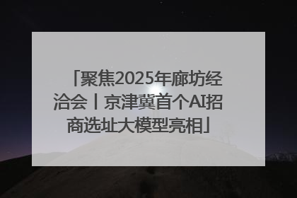 聚焦2025年廊坊经洽会丨京津冀首个AI招商选址大模型亮相