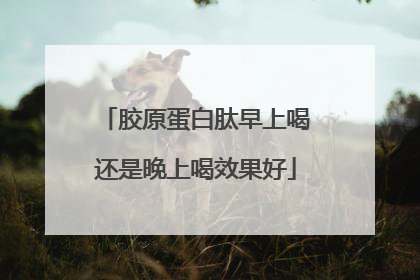胶原蛋白肽早上喝还是晚上喝效果好