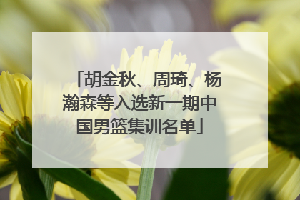 胡金秋、周琦、杨瀚森等入选新一期中国男篮集训名单