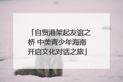 自贸港架起友谊之桥 中美青少年海南开启文化对话之旅