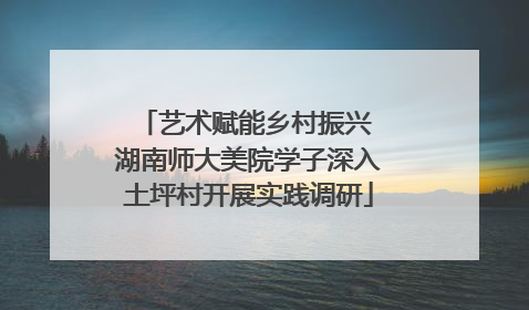 艺术赋能乡村振兴 湖南师大美院学子深入土坪村开展实践调研