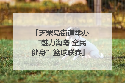 芝罘岛街道举办“魅力海岛 全民健身”篮球联赛