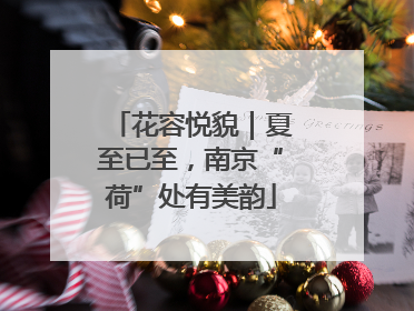 花容悦貌｜夏至已至，南京“荷”处有美韵