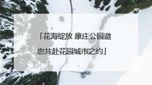 花海绽放 康庄公园邀您共赴花园城市之约