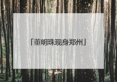 董明珠现身郑州