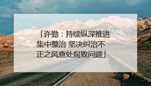 许勤：持续纵深推进集中整治 坚决纠治不正之风查处腐败问题
