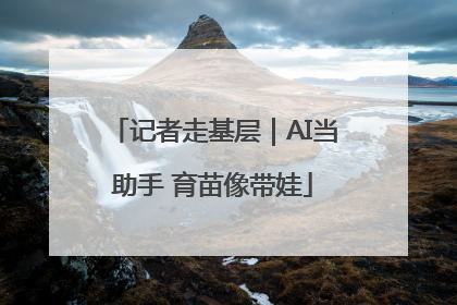 记者走基层｜AI当助手 育苗像带娃
