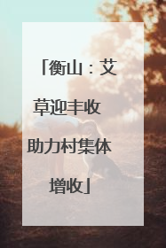 衡山：艾草迎丰收 助力村集体增收