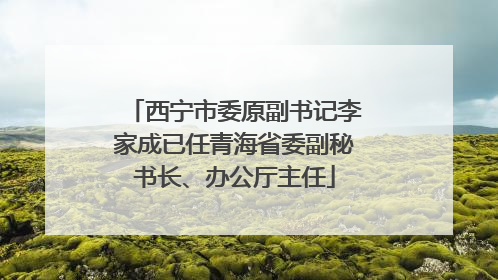 西宁市委原副书记李家成已任青海省委副秘书长、办公厅主任