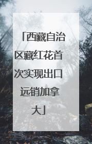 西藏自治区藏红花首次实现出口 远销加拿大