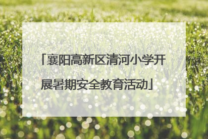襄阳高新区清河小学开展暑期安全教育活动