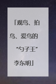 观鸟、拍鸟、爱鸟的“勺子王”李东明