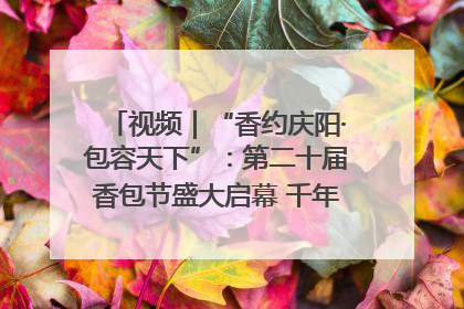 视频｜“香约庆阳·包容天下”：第二十届香包节盛大启幕 千年非遗香飘世界