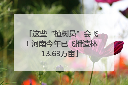 这些“植树员”会飞！河南今年已飞播造林13.63万亩