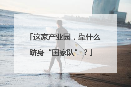 这家产业园，靠什么跻身“国家队”？