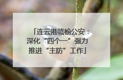 连云港赣榆公安：深化“四个一”强力推进“主防”工作