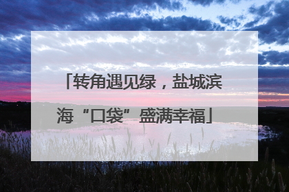 转角遇见绿，盐城滨海“口袋”盛满幸福