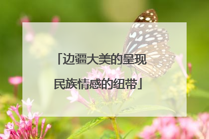 边疆大美的呈现 民族情感的纽带