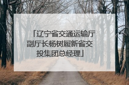 辽宁省交通运输厅副厅长杨树履新省交投集团总经理