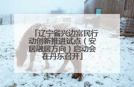 辽宁省兴边富民行动创新推进试点（安居融居方向）启动会在丹东召开