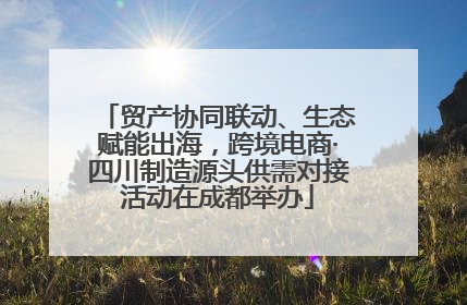贸产协同联动、生态赋能出海，跨境电商·四川制造源头供需对接活动在成都举办