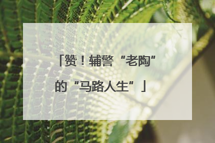 赞！辅警“老陶”的“马路人生”