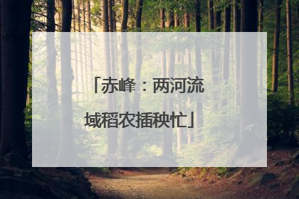 赤峰：两河流域稻农插秧忙