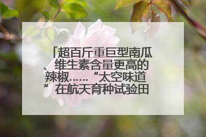 超百斤重巨型南瓜、维生素含量更高的辣椒……“太空味道”在航天育种试验田里拔节生长