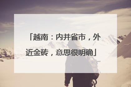 越南：内并省市，外近金砖，意思很明确