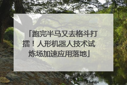 跑完半马又去格斗打擂！人形机器人技术试炼场加速应用落地
