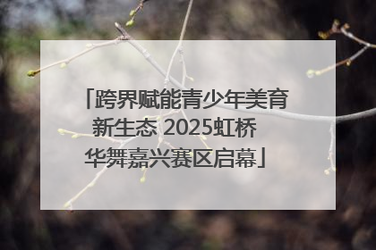 跨界赋能青少年美育新生态 2025虹桥华舞嘉兴赛区启幕