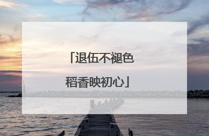退伍不褪色 稻香映初心