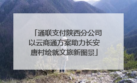 通联支付陕西分公司以云商通方案助力长安唐村绘就文旅新图景