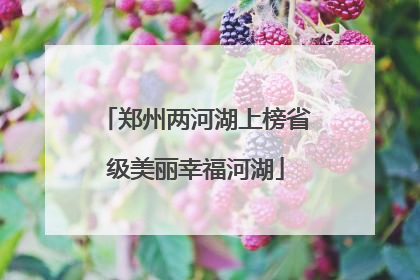 郑州两河湖上榜省级美丽幸福河湖