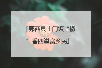 郧西县土门镇“椒”香四溢富乡民
