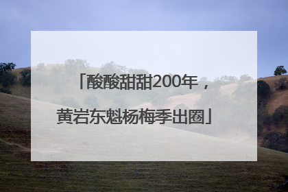酸酸甜甜200年，黄岩东魁杨梅季出圈