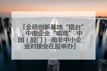 金砖创新基地“搭台”，中南企业“唱戏” 中国（厦门）-南非中小企业对接会在厦举办