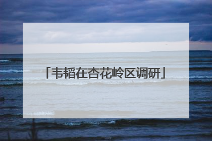 韦韬在杏花岭区调研