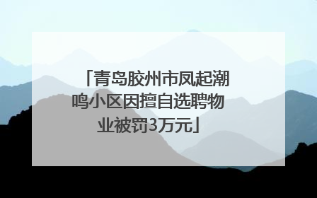 青岛胶州市凤起潮鸣小区因擅自选聘物业被罚3万元