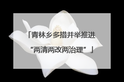 青林乡多措并举推进“两清两改两治理”